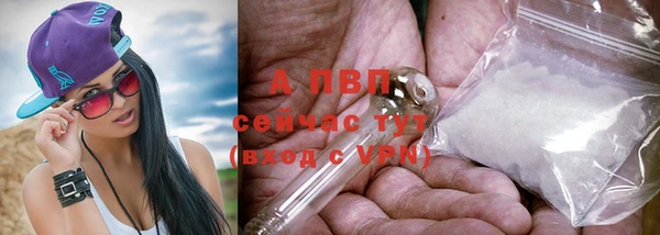 кокс Липки