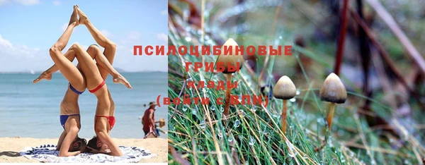 не бодяженный Лиски