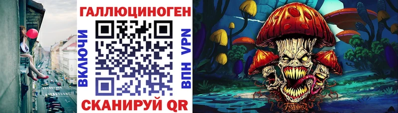 Купить где Лениногорск Галлюциногенные грибы Psilocybine cubensis