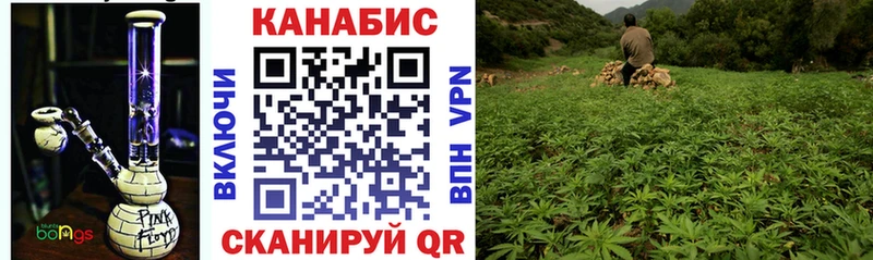 Купить где  Лениногорск  Каннабис Amnesia 